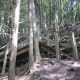 Sideview of a wooden walk and stairs against the steep wall of the canyon.