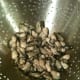 Clean slowly after boiling for 5 minutes