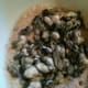 Coat oysters in cure mixture