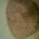 Salt cure plus extra brown sugar