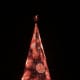 Mile High Tree in Denver, Colo. with golden light pattern.