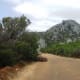 Paarl Mountain, Western Cape, South Africa
