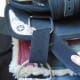 ...then bring the strap up and through its own ring on the saddle...