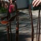 Take your bridle with your left hand.