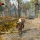 The Witcher 3 Gameplay