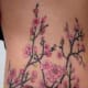 top-five-popular-tattoos-for-women-popular-women-tattoos