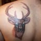 deer-tattoos-and-meanings-deer-skull-tattoos-and-meanings-deer-tattoo-ideas-and-pictures