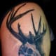 deer-tattoos-and-meanings-deer-skull-tattoos-and-meanings-deer-tattoo-ideas-and-pictures