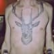 deer-tattoos-and-meanings-deer-skull-tattoos-and-meanings-deer-tattoo-ideas-and-pictures