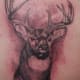 deer-tattoos-and-meanings-deer-skull-tattoos-and-meanings-deer-tattoo-ideas-and-pictures