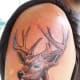 deer-tattoos-and-meanings-deer-skull-tattoos-and-meanings-deer-tattoo-ideas-and-pictures
