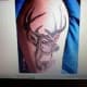 deer-tattoos-and-meanings-deer-skull-tattoos-and-meanings-deer-tattoo-ideas-and-pictures