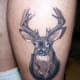 deer-tattoos-and-meanings-deer-skull-tattoos-and-meanings-deer-tattoo-ideas-and-pictures