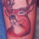 deer-tattoos-and-meanings-deer-skull-tattoos-and-meanings-deer-tattoo-ideas-and-pictures