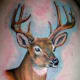 deer-tattoos-and-meanings-deer-skull-tattoos-and-meanings-deer-tattoo-ideas-and-pictures