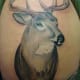 deer-tattoos-and-meanings-deer-skull-tattoos-and-meanings-deer-tattoo-ideas-and-pictures