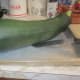 Now that is one big zucchini!