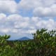 You can see Mount Pisgah in the distance, one of the tallest mountains around.