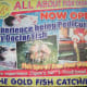 Fish Spa Advertisement
