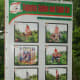 Zipline and Cable Car Advertisement