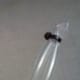 Air hose clamped on one end