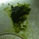 Not a whole lot of algae came off screen, so I will let algae scrubber go 2 weeks in between cleanings next time