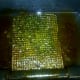 Algae screen after running for 13 days