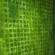 Picture of algae scrubber screen on 8/31/12