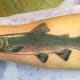 trout-tattoos-and-designs-trout-tattoo-meanings-trout-tattoo-gallery