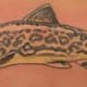 trout-tattoos-and-designs-trout-tattoo-meanings-trout-tattoo-gallery