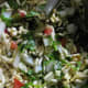 The puffed rice snack is ready to be enjoyed!