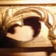 Moulding and exposed wood on frame, painted gold.