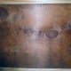 Box wood backing
