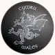 Slate coaster of Cymru Wales
