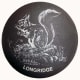 Slate coaster of Squirrel in Longridge, Lancashire, England.