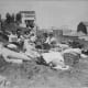 San Francisco Earthquake of 1906, Refugees