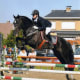 An Andalusian competing in jumping.