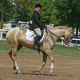 Ahkal-Teke and rider.