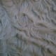 Close up of Bashkir Curly coat.