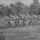 Convict farm labourers ploughing a field