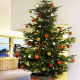 christmas-tree-decorating-ideas-31705