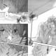 most-romantic-kissing-scenes-in-manga-stories