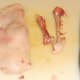 Boned duck leg