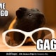 When you need new sunglasses, look to Lady Gaga for inspiration.