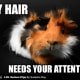 Bad hair day.