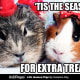 Because we're just too adorable.