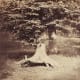 The Beech Tree. Dated between 1855 - 1857. Albumen Silver Photo, by Gustave Le Gray.