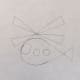 Step 6. Draw circles or ovals for windows.