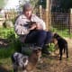 lambing-season-2015