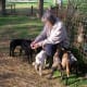 lambing-season-2015